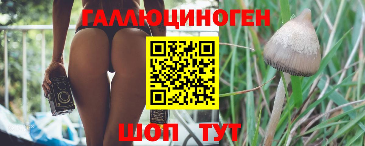 Шебекино  Псилоцибиновые грибы прущие грибы  Вход с VPN  Галлюциногенные грибы мухоморы 